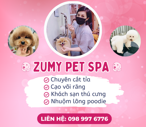 ZuMy Pet Spa dịch vụ làm đẹp thú cưng uy tín Hóc Môn 
