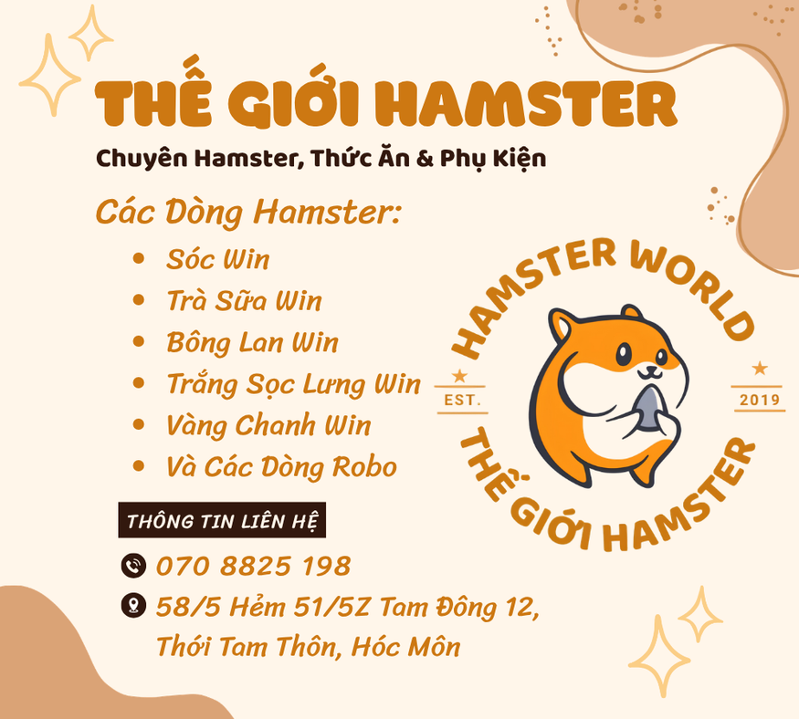Thế Giới Hamster - Địa Chỉ Mua Hamster Và Phụ Kiện Uy Tín Tại Hóc Môn