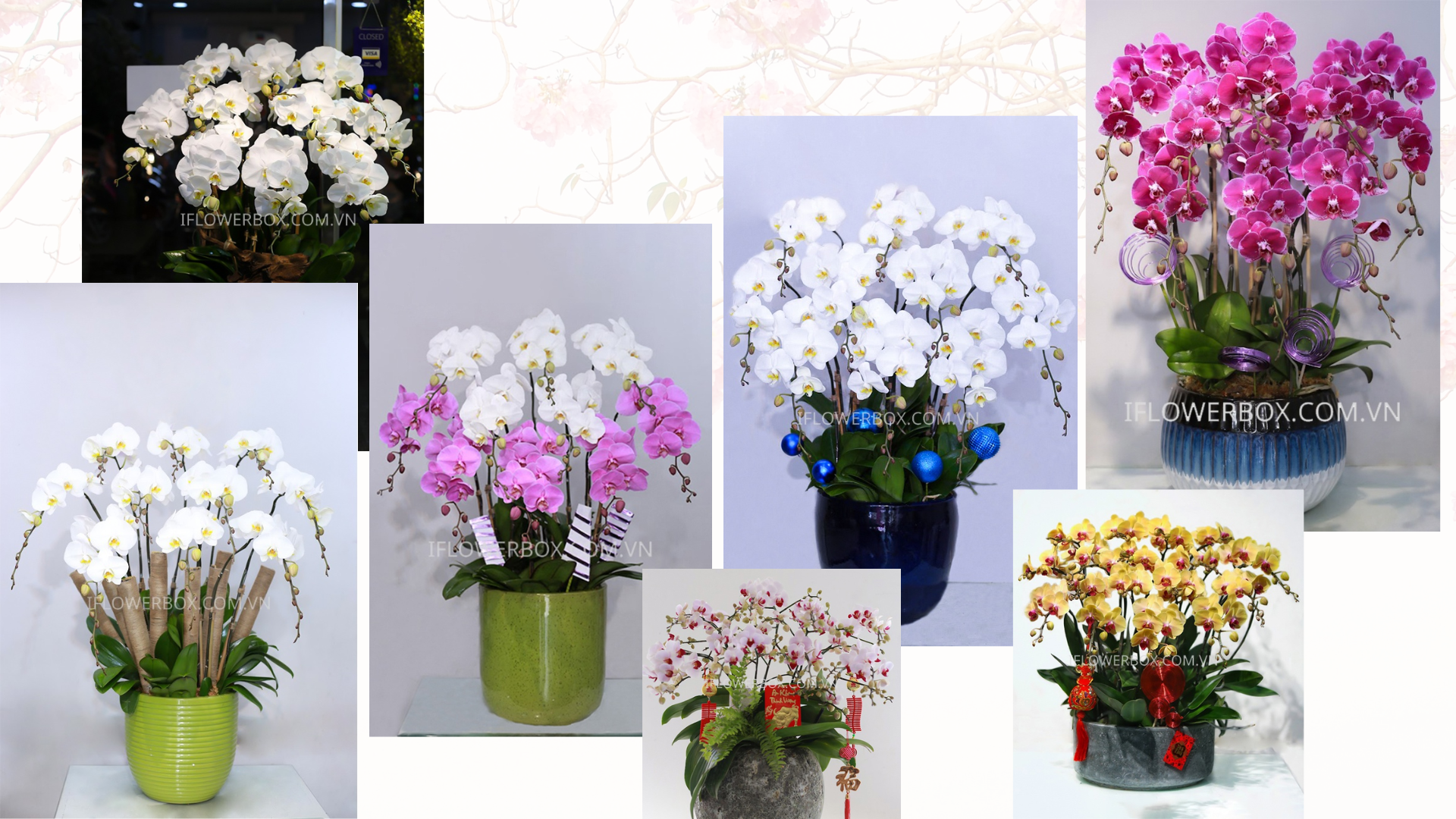 những mẫu hoa có tạiIflowerbox Shop Hoa Tươi Uy Tín Chất Lượng Tại Thành Phố Hồ Chí Minh
