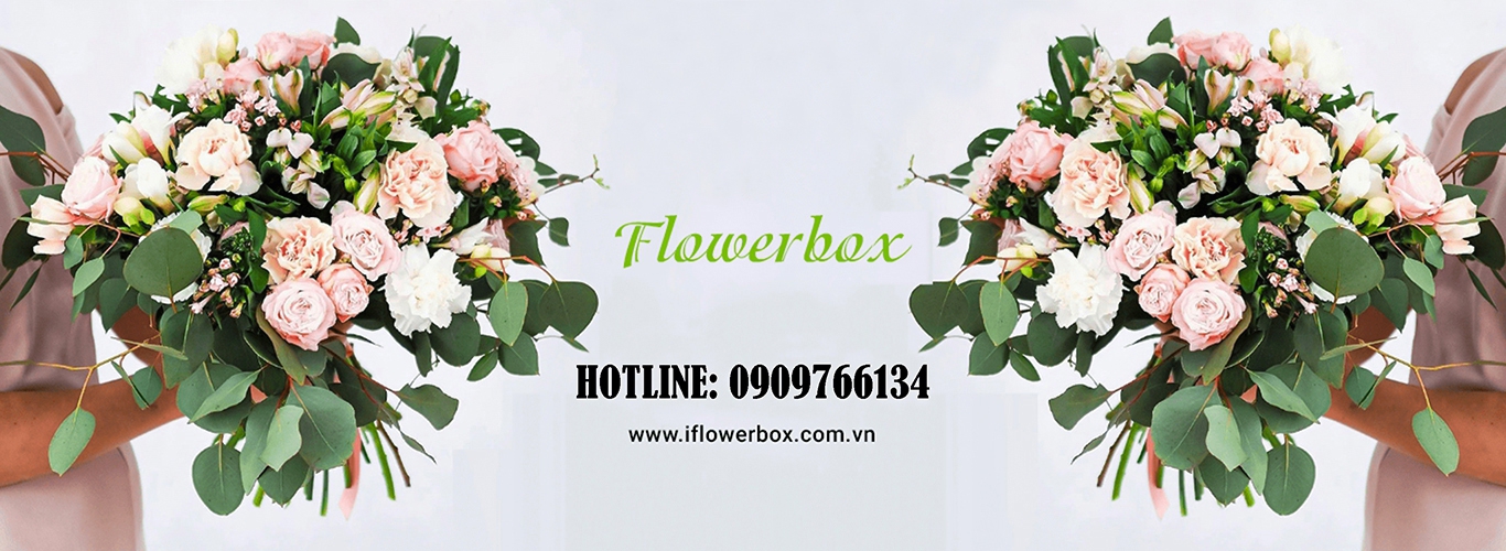 Iflowerbox Shop Hoa Tươi Uy Tín Chất Lượng Tại Thành Phố Hồ Chí Minh