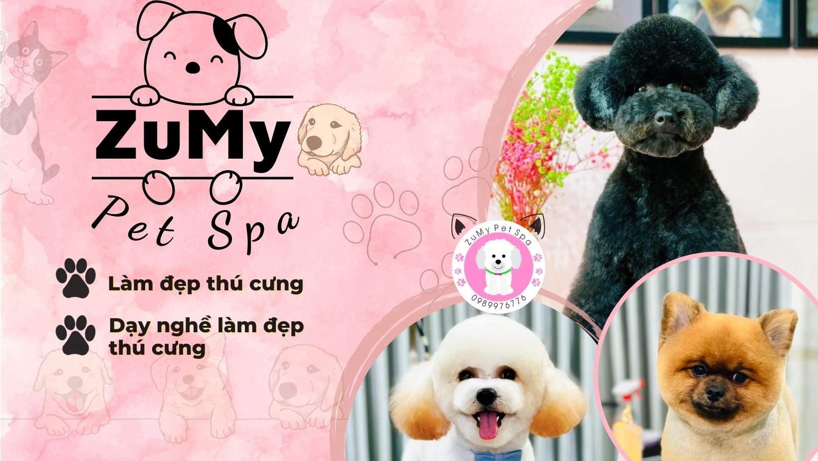 Zumy Pet Spa Dịch Vụ Làm Đẹp Thú Cưng Chuyên Nghiệp, Uy Tín Tại Hóc Môn