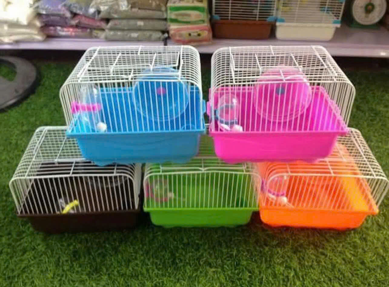 Thế Giới Hamster - Địa Chỉ Mua Hamster Và Phụ Kiện Uy Tín Tại Hóc Môn