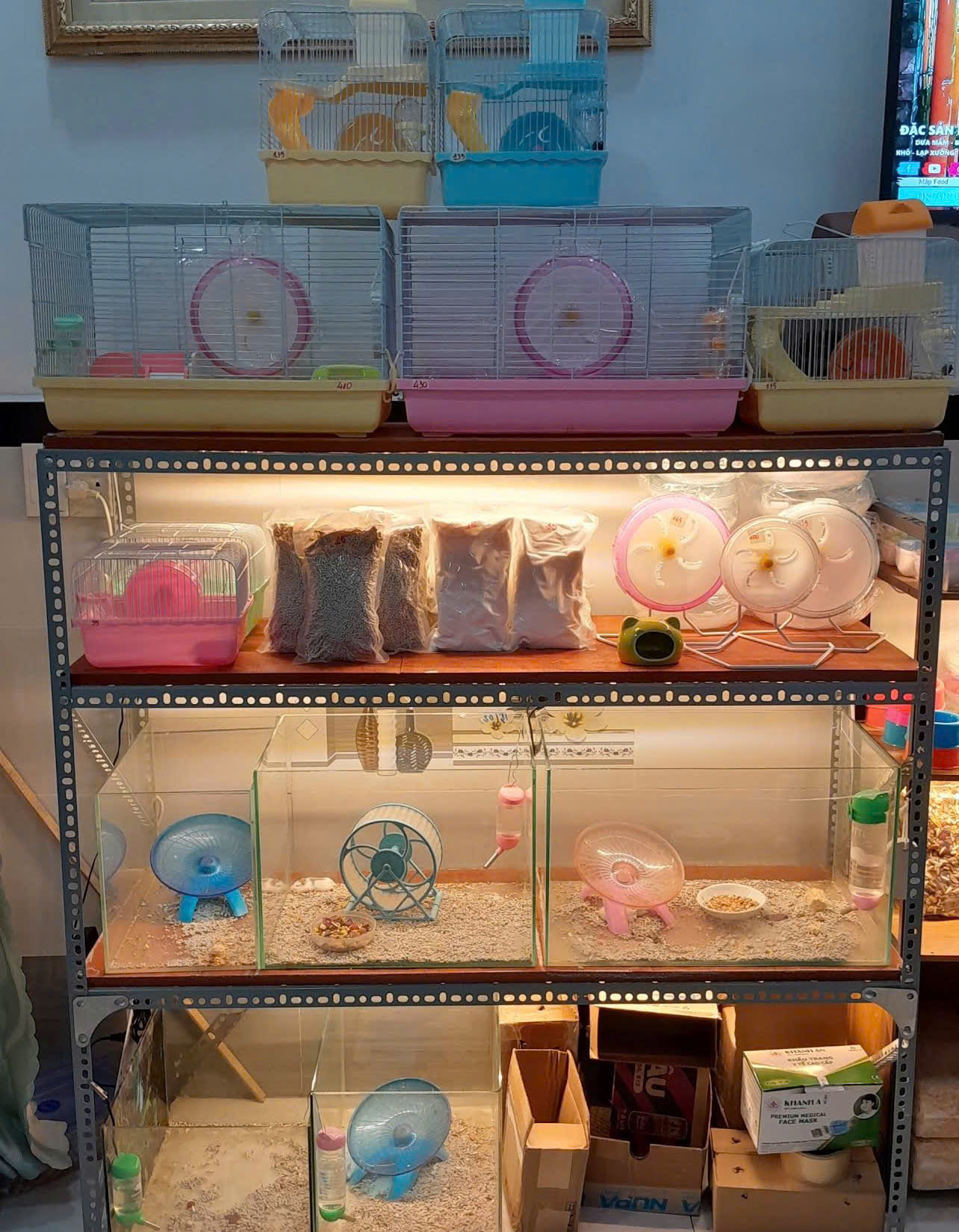 Thế Giới Hamster - Địa Chỉ Mua Hamster Và Phụ Kiện Uy Tín Tại Hóc Môn